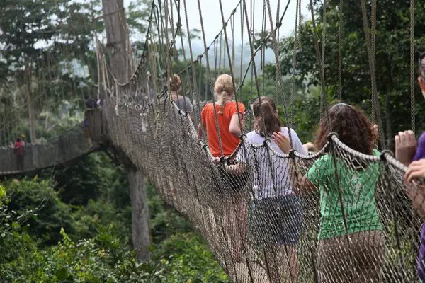 Kakum-national-park-canopy-walkway