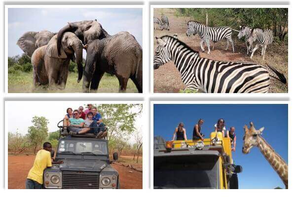 safari-adventure-ghana-west-africa